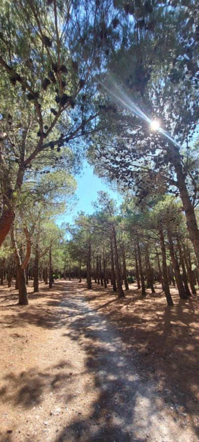 Apartmán L'Oasis De Port Fitou Exteriér fotografie