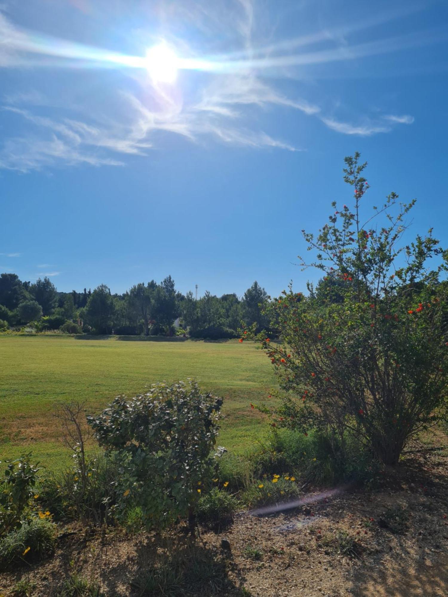 Apartmán L'Oasis De Port Fitou Exteriér fotografie